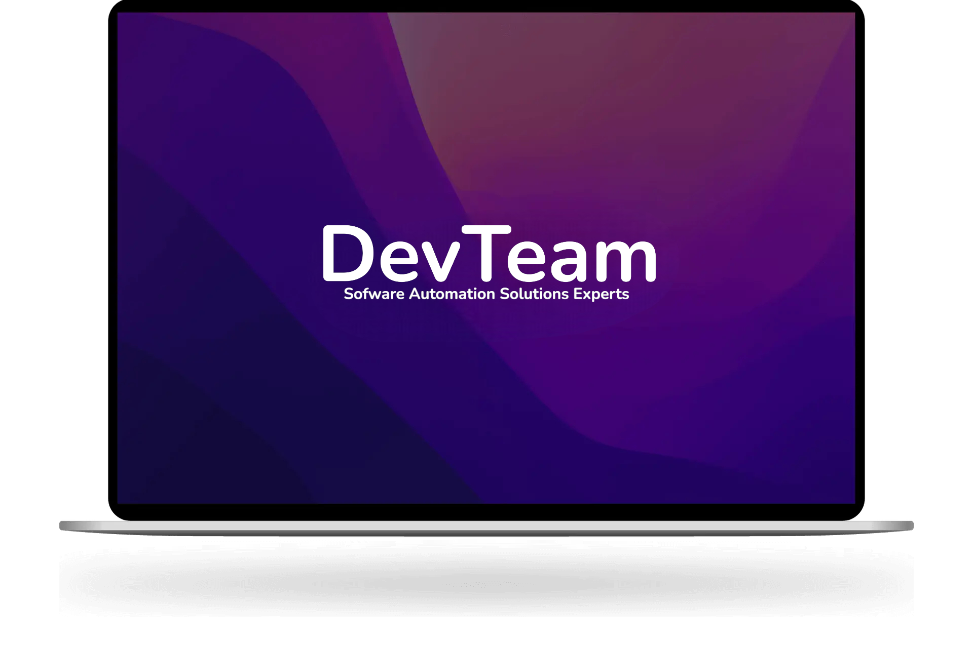 Software company - DevTeam